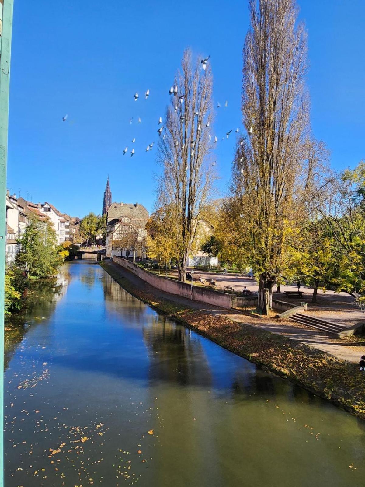 Appartement La Petite Alsacienne Strasbourg